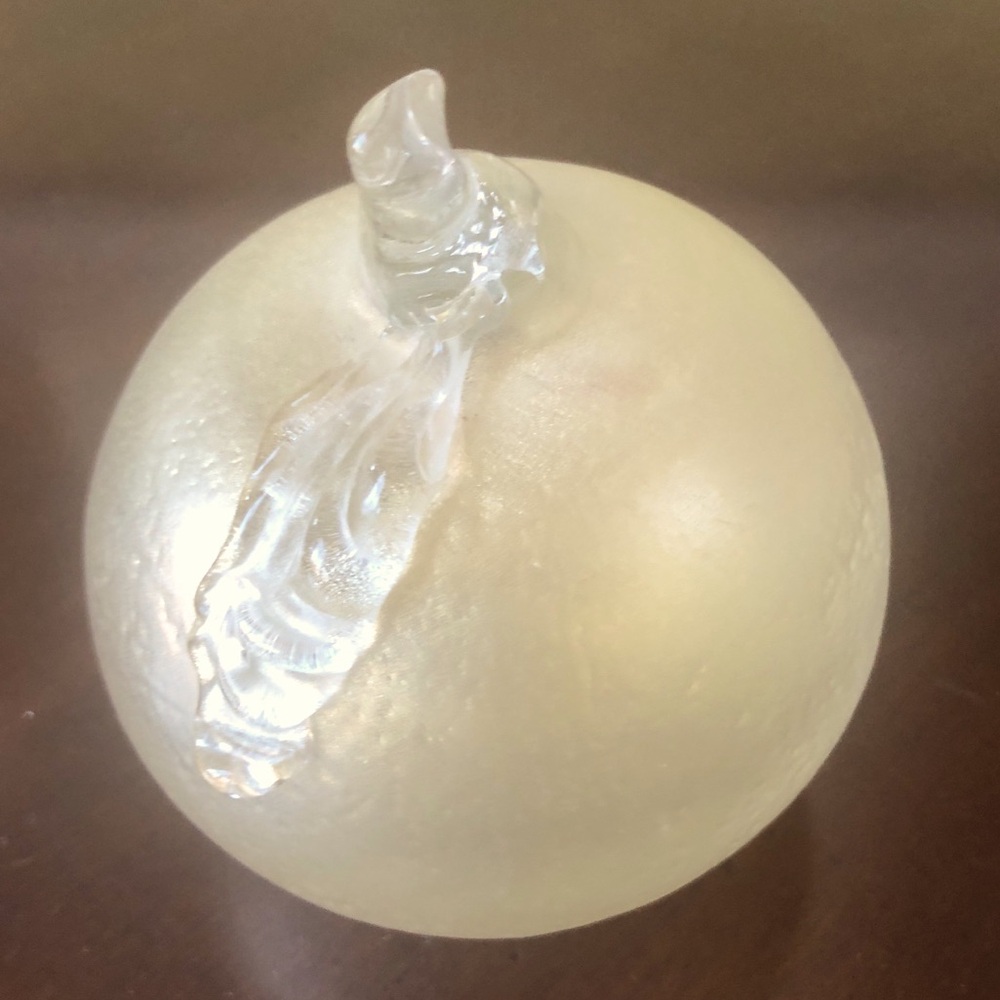 Vintage Apple 🍎 Paperweight